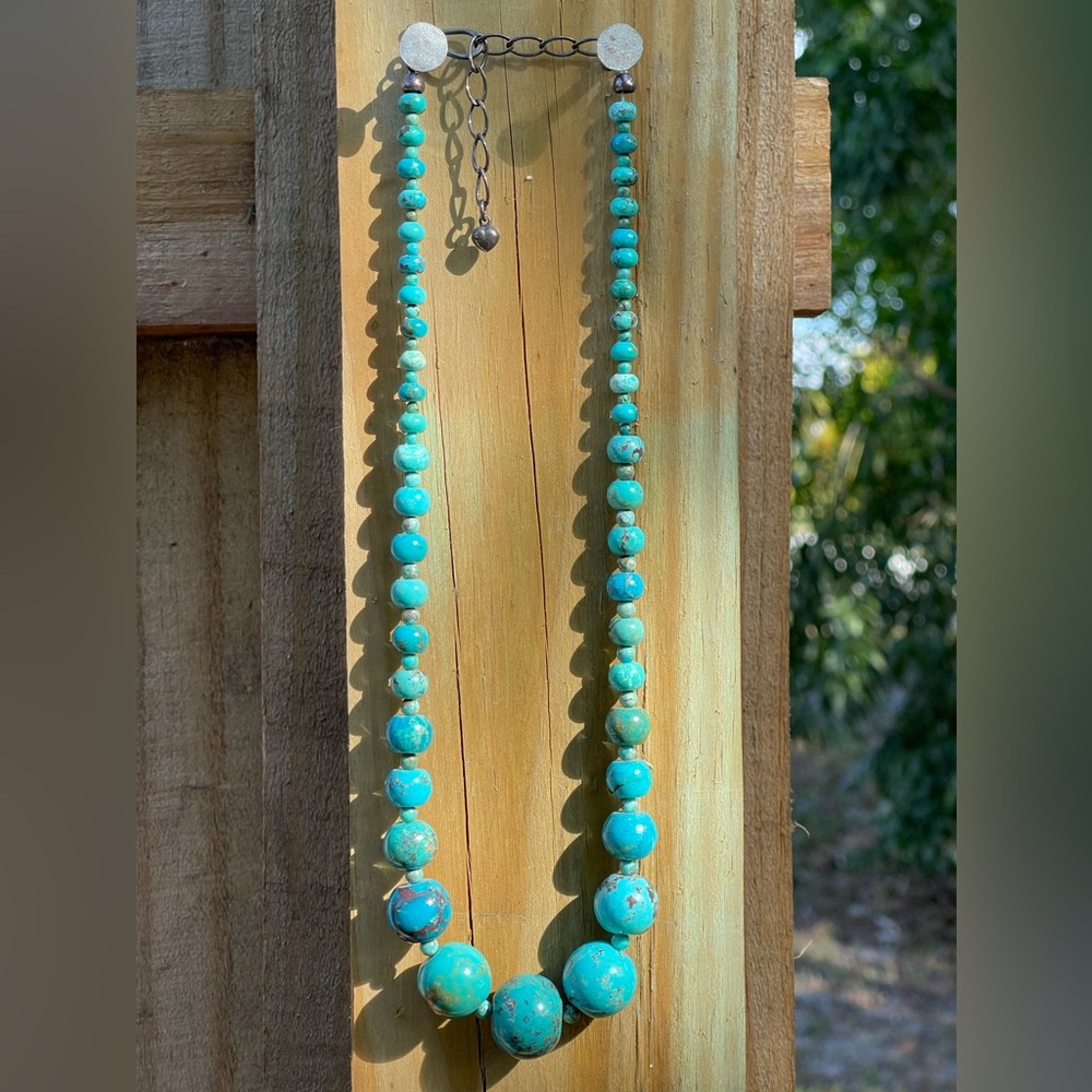Jay King Graduated Round Turquoise Necklace